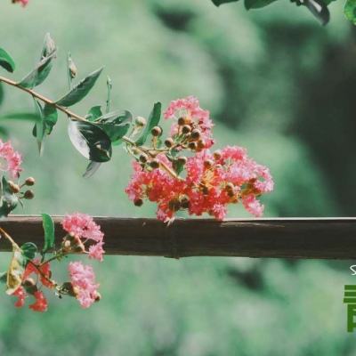 雅博app官网下载