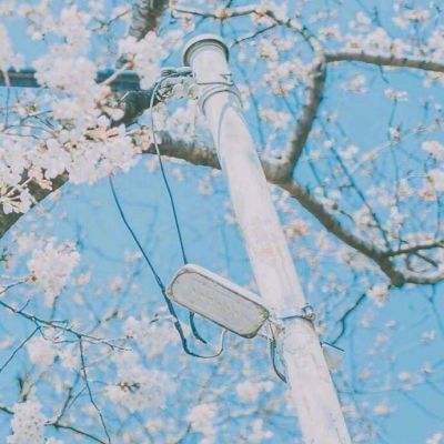 买电竞比赛输赢的app